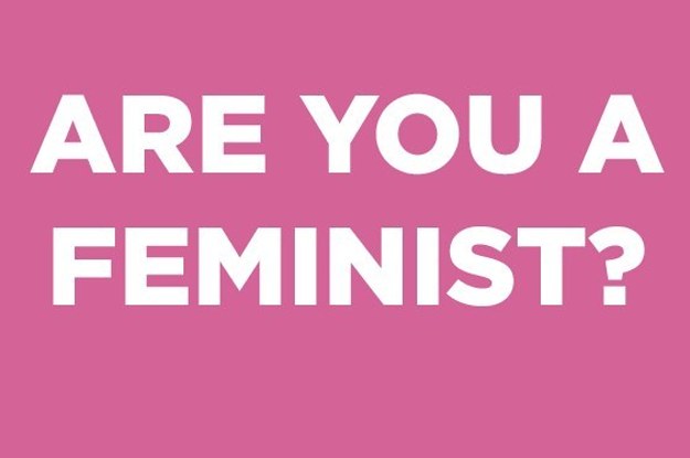 are-you-a-feminist-2-28278-1397482521-8_dblbig